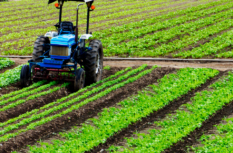 Geld in Landwirtschaft investieren