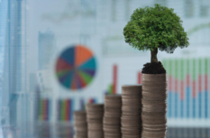 Geld nachhaltig investieren