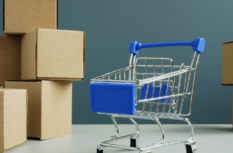 Dropshipping Ideen 2024