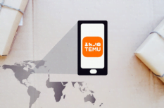 Dropshipping mit Temu