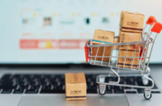Dropshipping Onlineshop kaufen