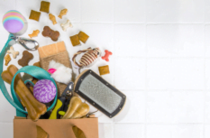 Dropshipping mit Hundeartikel