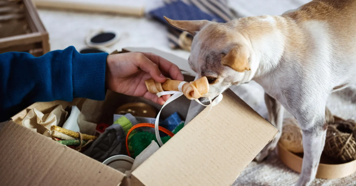 Dropshipping mit Tierbedarf