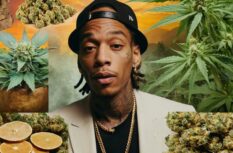 Wiz Khalifa Vermögen » Entdecke sein Vermögen